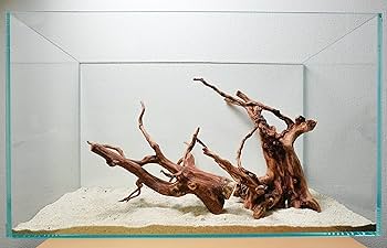 Amazon | 60cm水槽用 流木2本セット（ナチュラル色）【AQUASHOP