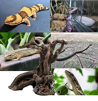 流木 インテリア 大型サイズ オブジェ ケージ 登り木 爬虫類 小動物