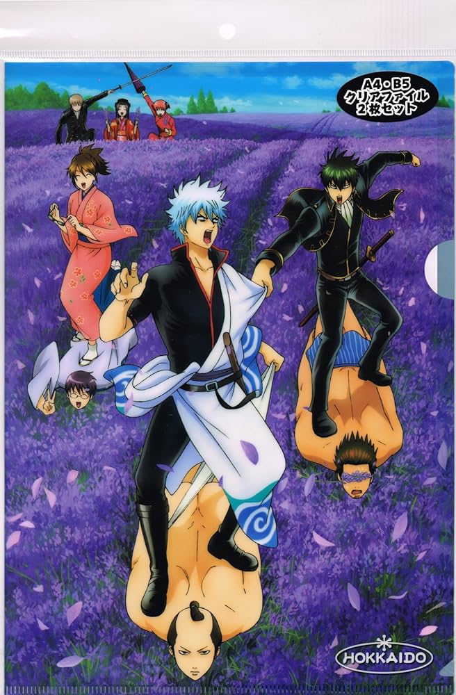 Amazon.co.jp: 【北海道限定】銀魂 クリアファイル2枚セット A4/B5