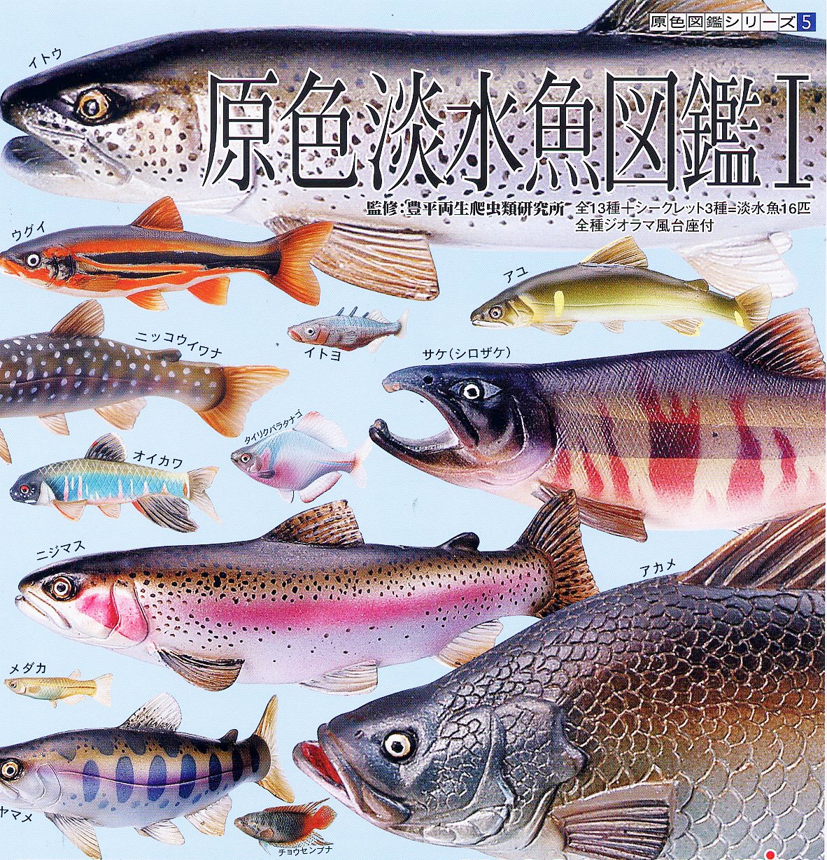原色淡水魚図鑑I 限定版 ヤマメ×アメマス Amazon.co.jp: 原色淡水魚