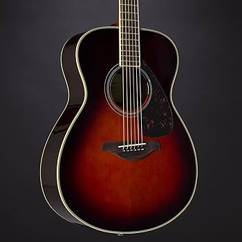 Amazon.co.jp: Yamaha FS830TBS Acoustic Guitar : Musical Instruments