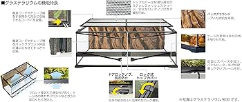 Amazon | エキゾテラ GEX EXOTERRA グラステラリウム 3030 PT2600
