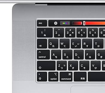 Amazon.co.jp: 2019 Apple MacBook Pro (16インチ, 16GB RAM, 1TB
