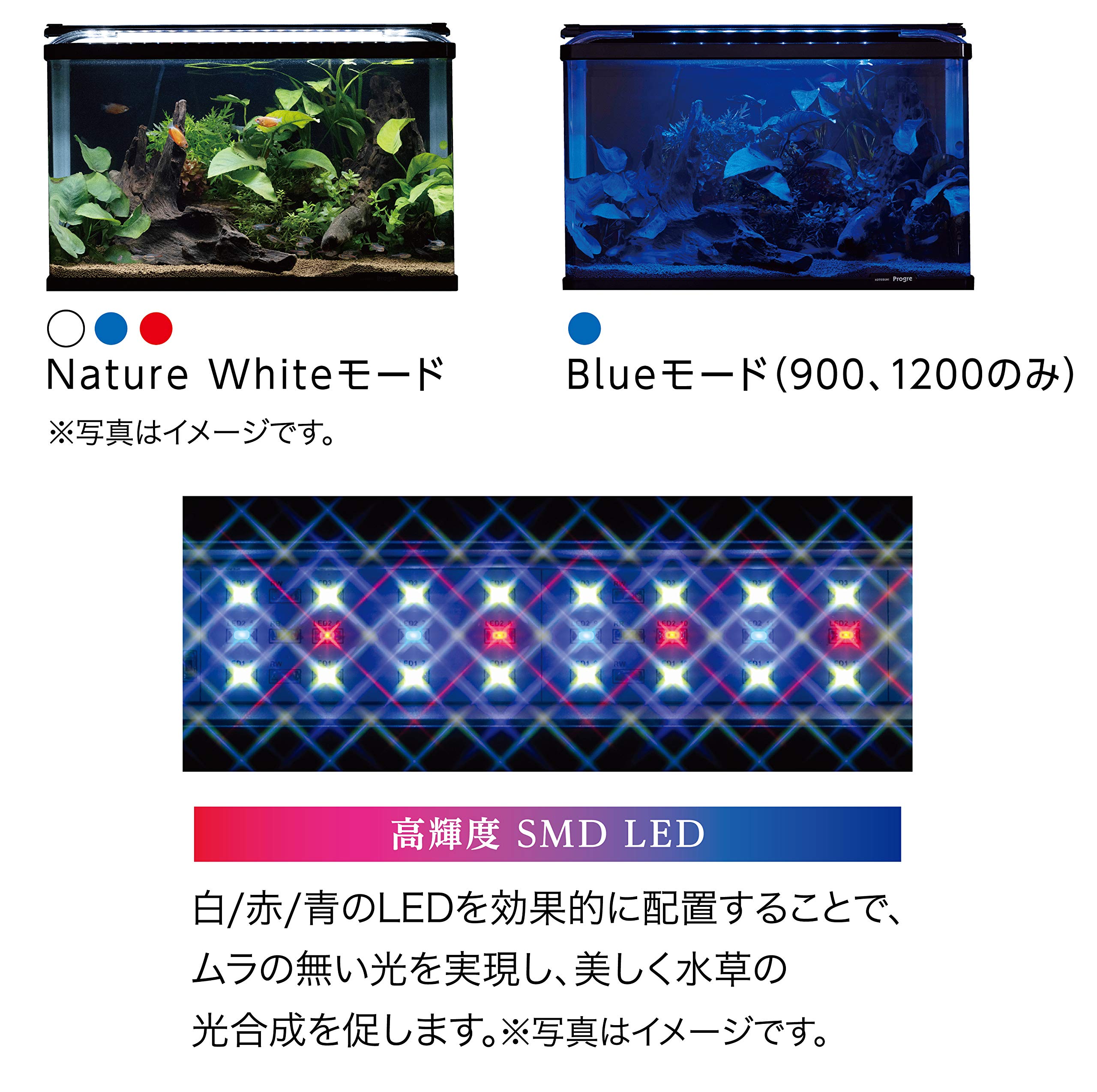 Amazon | 寿工芸 コトブキ 水槽用 LED SS 1200 ブラック | Kotobuki