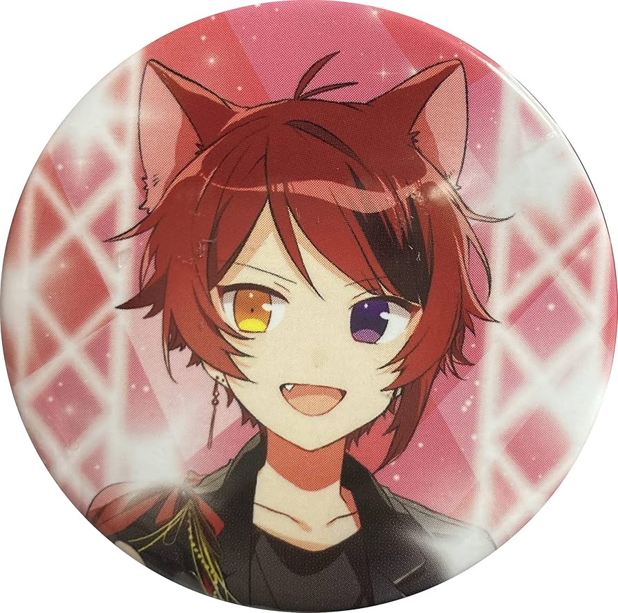 すと10 すとぷり すとめも るぅと 等身 缶バッジ す