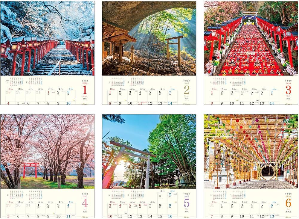 厳選流木】 ADA社 ブランチウッド4本 2025年カレンダーおまけ付き 厳選