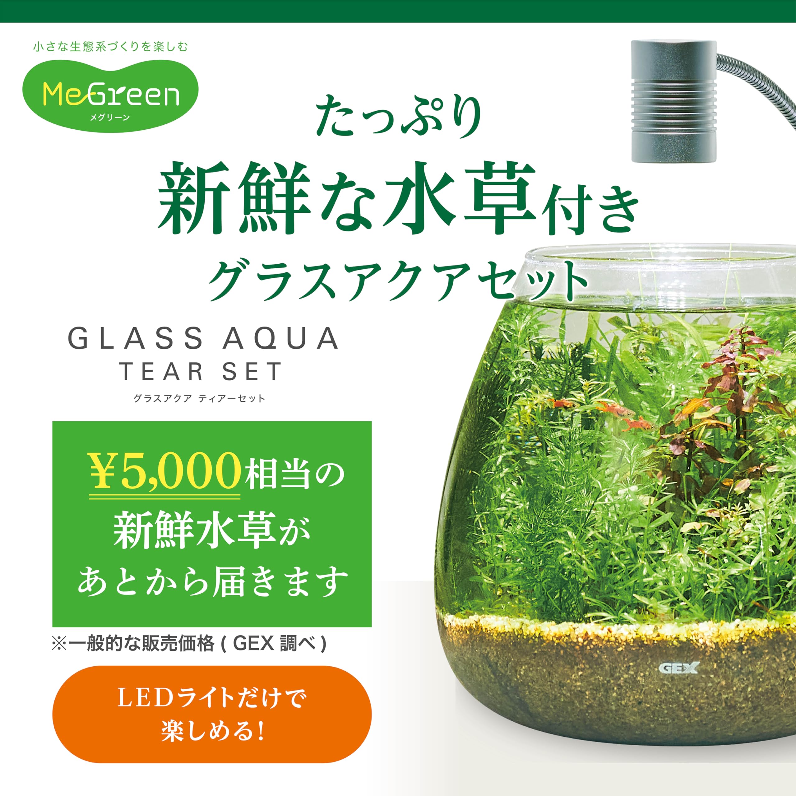 Amazon.co.jp: ジェックス MeGreen 新鮮な水草付き グラスアクア