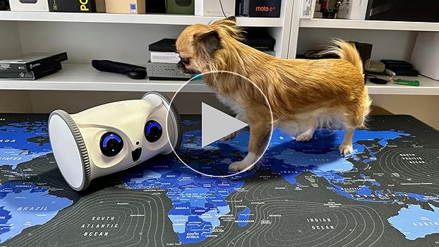 Amazon.com: SKYMEE Owl Robot: 1080P Full HD Pet Camera with Treat