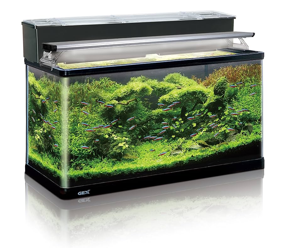 GEX 90cm水槽セット 引き取り限定 さいたま市 【公式通販】