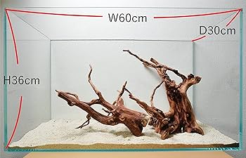 Amazon | 60cm水槽用 流木2本セット（ナチュラル色）【AQUASHOP