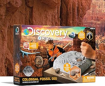 Amazon | Discovery 巨大な化石掘りセット 考古学発掘キット 本物の