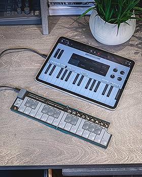 Amazon.co.jp: KORG(コルグ) MIDIキーボードnanoKEY Fold 25鍵盤