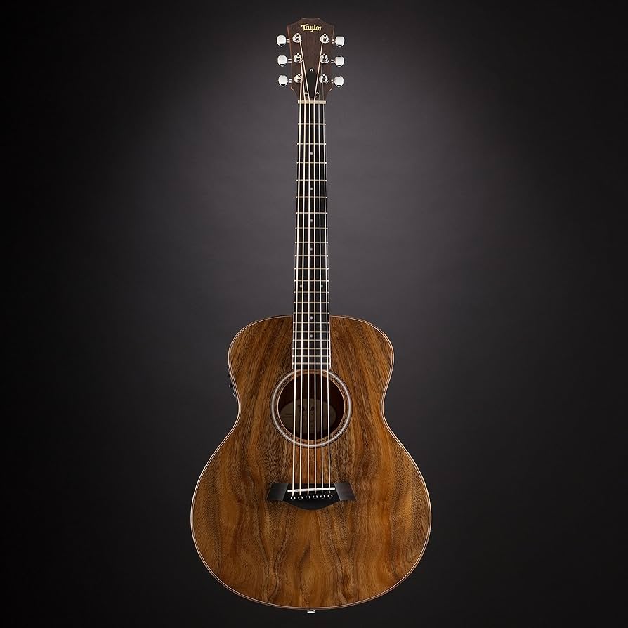 11389】Taylor GS mini エレアコミニギター ナチュラル Amazon.com