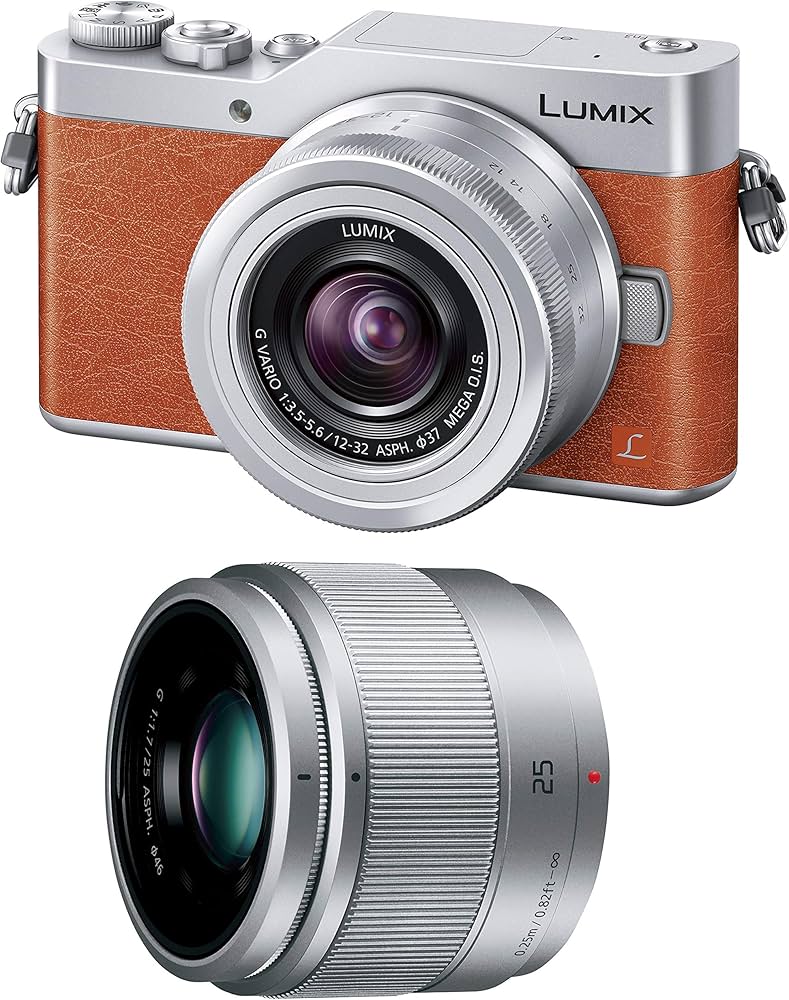 Amazon.co.jp: Panasonic Lumix GF9 Mirrorless Single Lens Camera