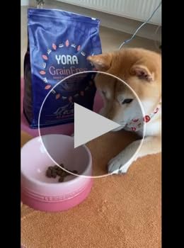 Amazon.co.jp: ヨラ ドッグフード (1.5kg) 全犬種・1歳～ 食物