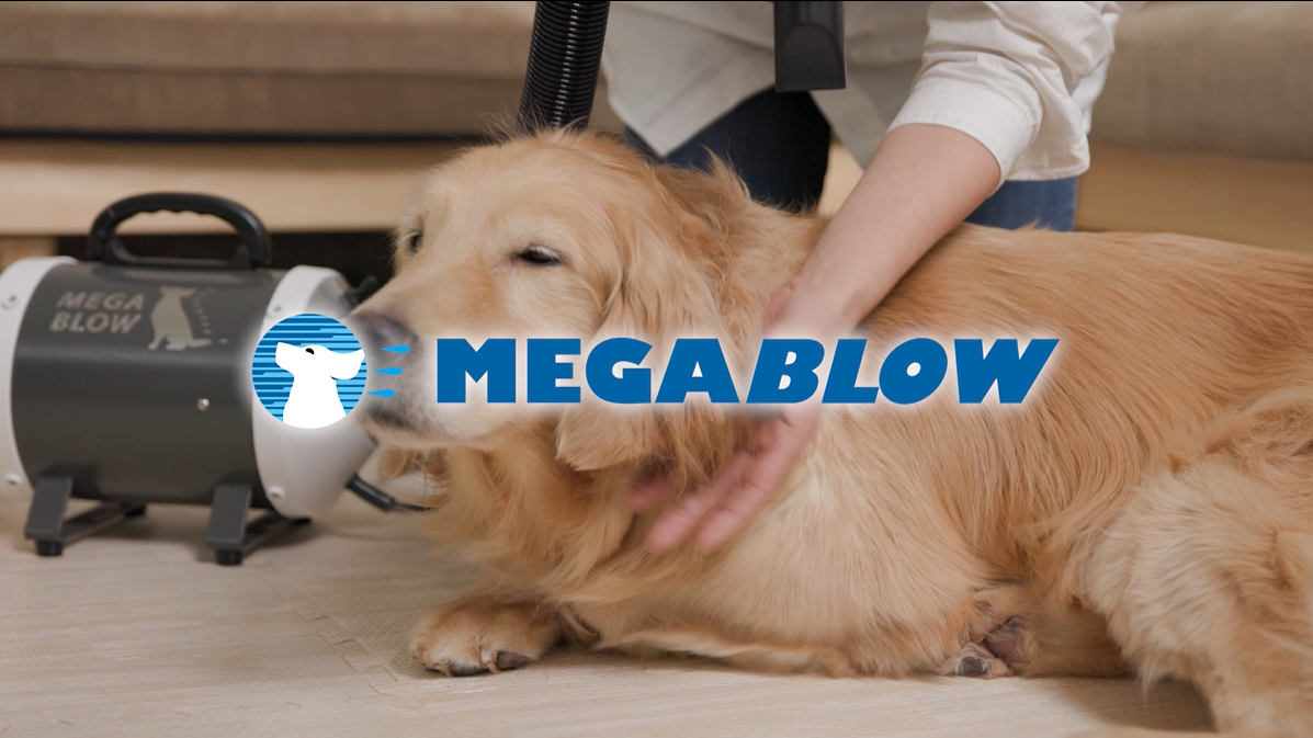 Amazon.co.jp: プロ愛用 発売13年 10年ユーザー多数 業務パワー 犬