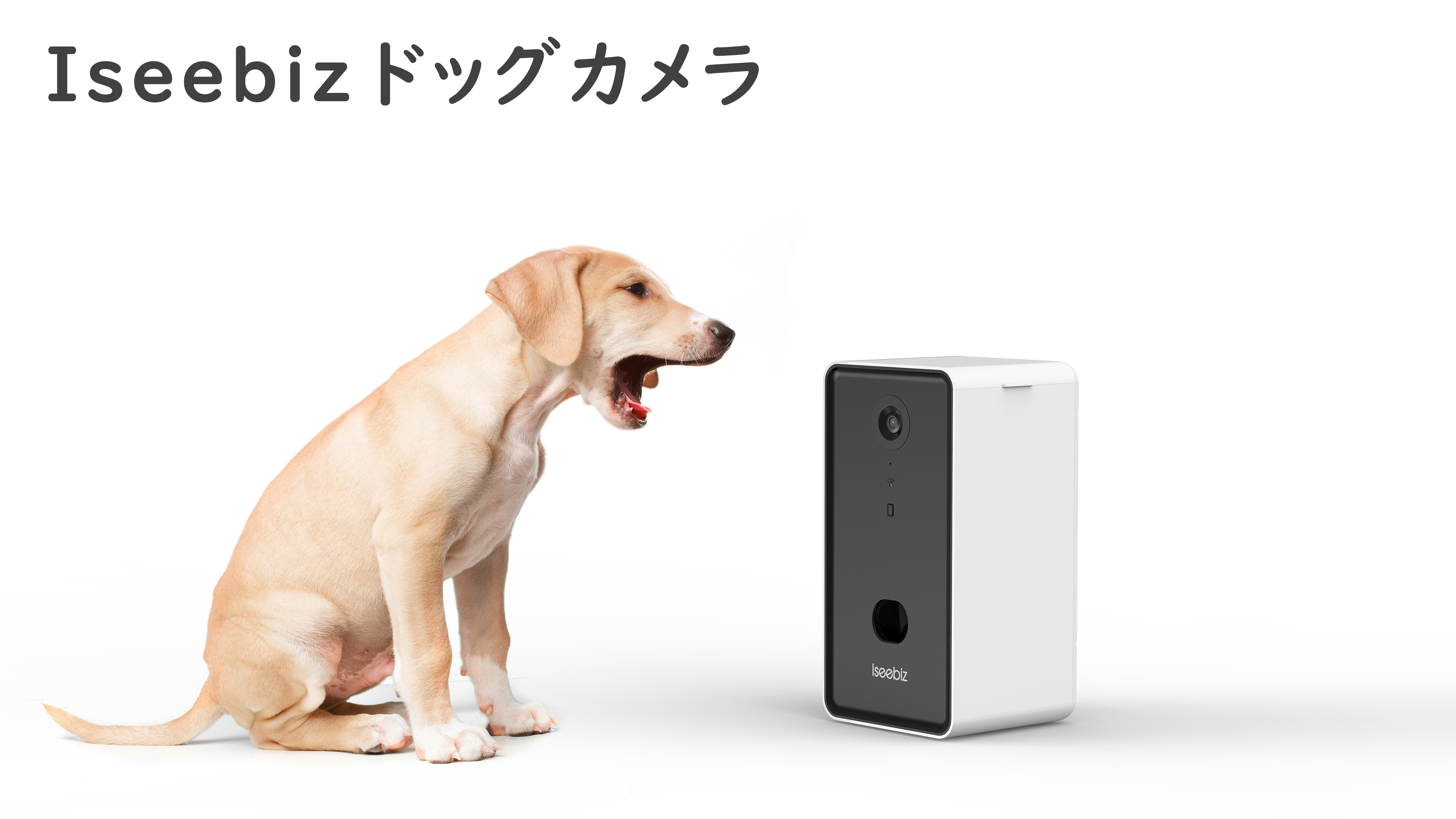 Amazon | Iseebizドッグカメラ ペットカメラ 飛び出すおやつ 写真 動画