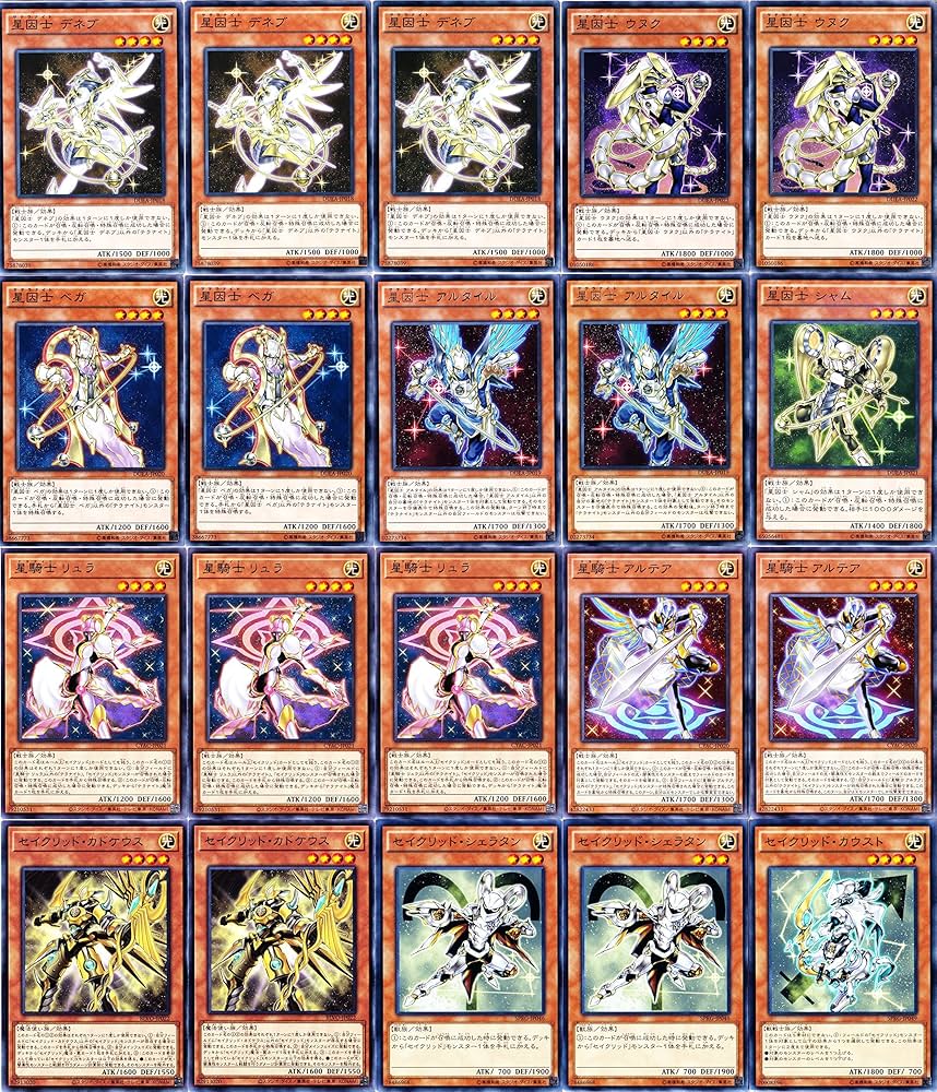 高レアリティ 遊戯王 セイクリッド テラナイト デッキパーツセット 高