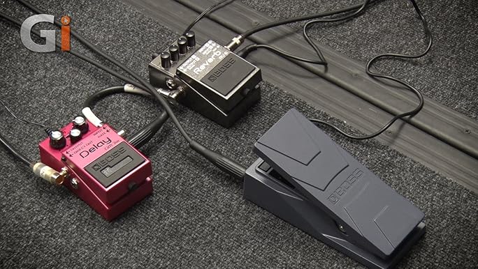 Amazon.com: BOSS EV-30 Dual Expression Guitar Pedal (EV-30