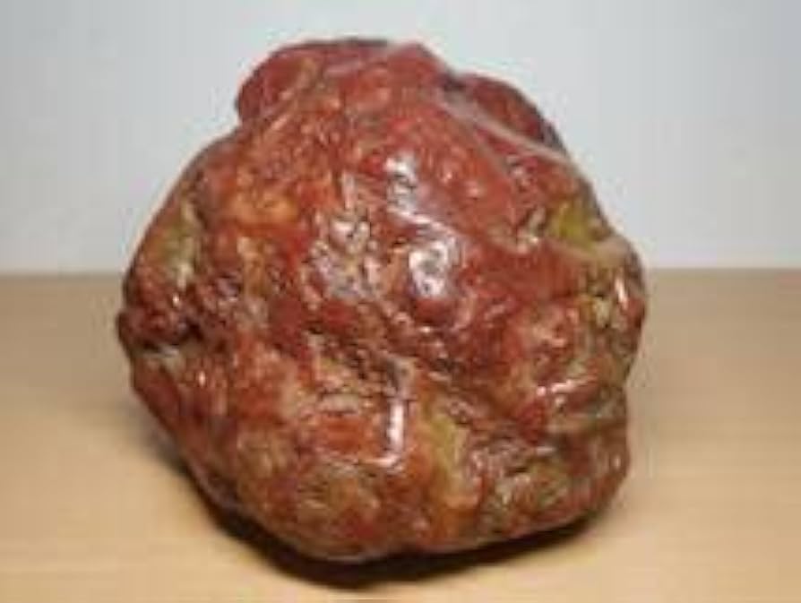 赤石 原石 魚顔 約6.2kg 天然石 自立 未加工 鑑賞用 水石 希少 レア