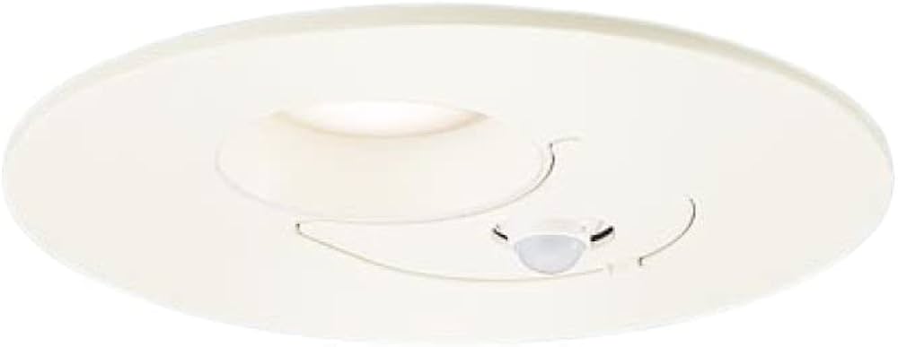 Amazon.co.jp: パナソニック(Panasonic) 軒下用ダウンライト 電球色