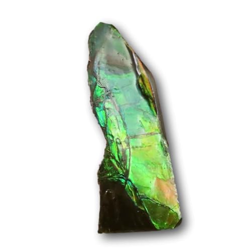 カナダ産 アンモライト 化石 原石 幅8.5cm 箱付き 【公式通販】