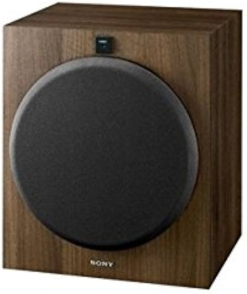 Amazon.co.jp: ソニー SONY スピーカー SA-W3000 [単品] : 家電＆カメラ