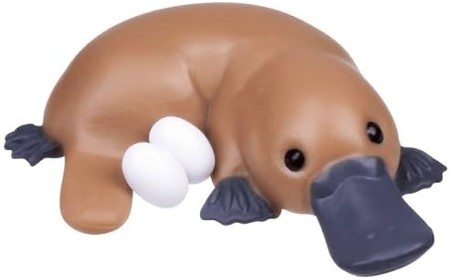 Amazon.co.jp: ガチャガチャ 不思議な生き物 カモノハシ フィギュア 卵