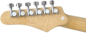 Amazon | PLAYTECH (プレイテック) エレキギター テレキャスタータイプ