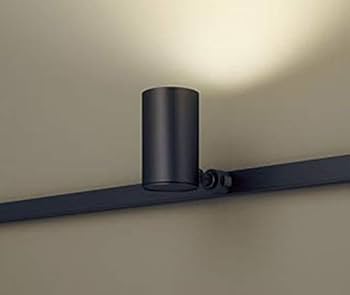 Amazon.co.jp: パナソニック(Panasonic) スポットライト LSEB6119KLE1