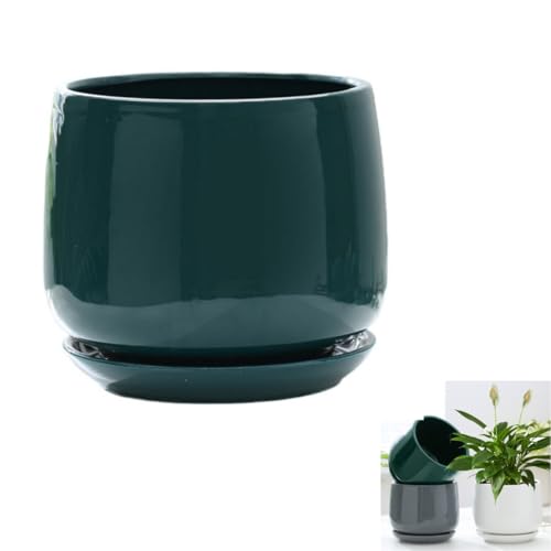 盆栽鉢 大型」の人気商品一覧 | 安い商品を通販サイトから探す - 価格.