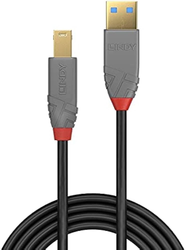 Amazon.com: LINDY 5m USB 3.2 Cable. USB-A Male to USB-B 3.0 Male