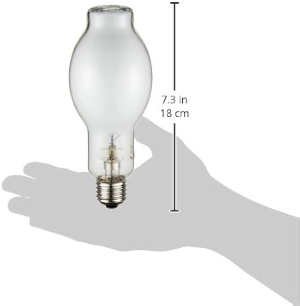 Amazon | 岩崎 水銀ランプ HF100X | 岩崎 | 白熱電球