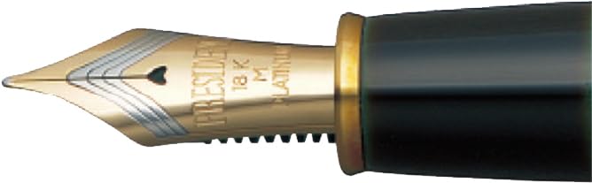 プラチナ万年筆出雲枇杷溜B（太字）