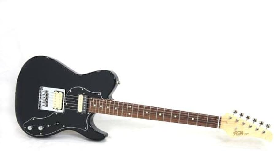 ギター FUJIGEN BIL-G-HH/BK/01 Amazon | フジゲン フジゲン BIL2-G-HH