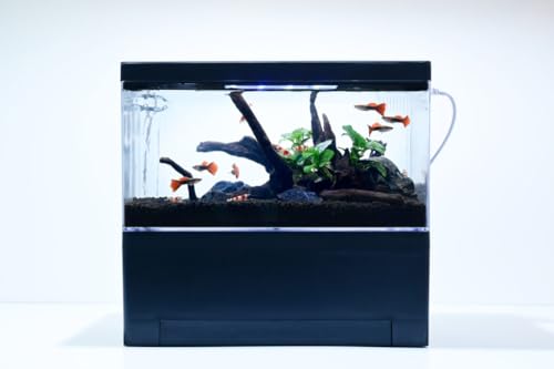 オーバーフロー水槽」の人気商品一覧 | 安い商品を通販サイトから探す