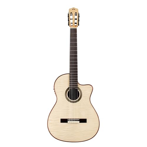 クラシックギター エレガット ギター アコースティック」の人気商品