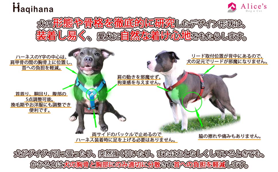 Amazon | 獣医師推奨【Haqihana ハキハナ】 ハーネス・胴輪 【正規代理