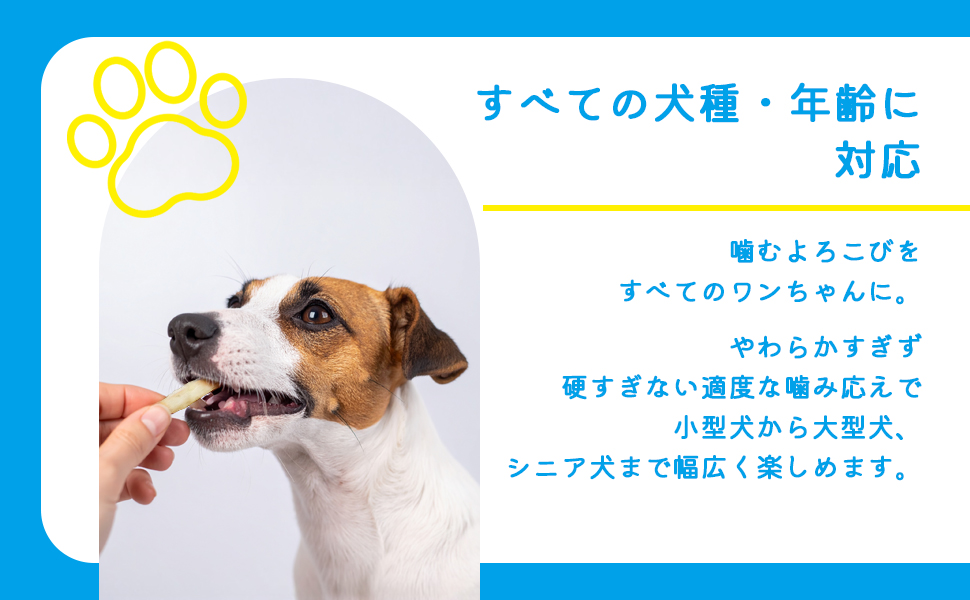 Amazon | 【国産 無添加 無着色】デンタルスティック 50本（1袋）/犬