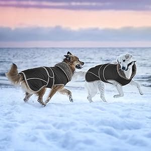 Amazon | Tinsin 犬 服 防寒着 ペット 服 犬 コート 犬 ジャケット