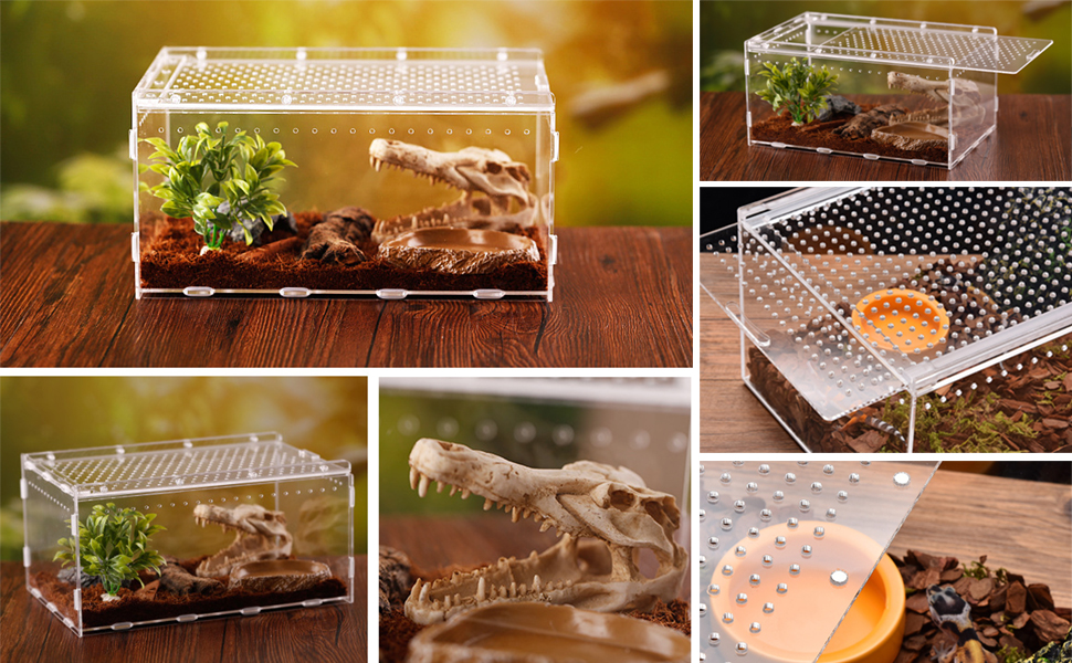 5個セット 爬虫類飼育ケージ 30×20×15 5個セット 爬虫類飼育ケージ 30