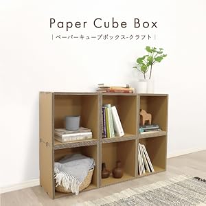 Amazon.co.jp: PAPER NEW STANDARD ペーパーキューブボックス クラフト