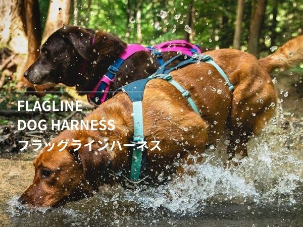 Amazon | RUFFWEAR(ラフウェア) 公式 フラッグラインハーネス アルペン