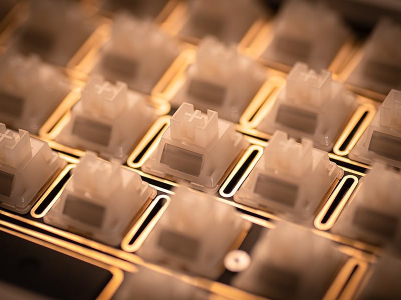 Amazon.com: IQUNIX ZX75 Gravity Wave Gaming Keyboard 75% RGB