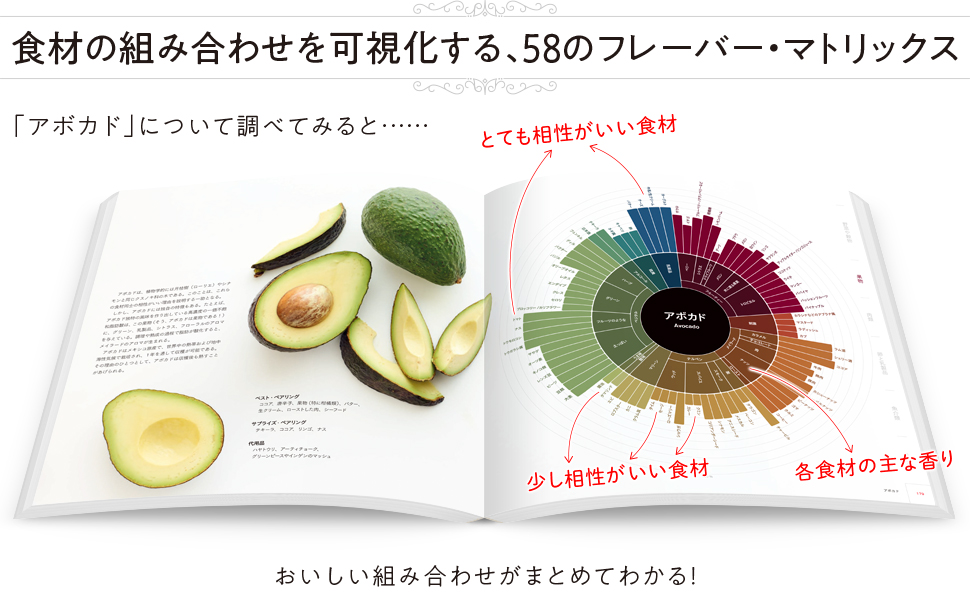 フレーバー・マトリックス 風味の組み合わせから特別なひと皿を作る