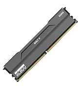 KLEVV Bolt X DDR4 32GB (2x16GB) 3600MHz CL18 1.35V Gaming Desktop