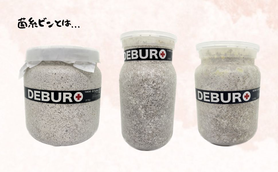 極上！黒アワビタケ菌糸瓶【8本】初令、2令に最適なサイズ！ニジイロ