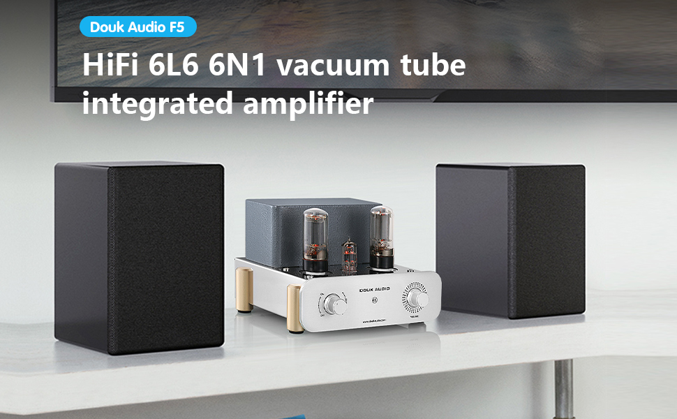 Amazon.com: Douk Audio F5 Pure Class A HiFi Vacuum Tube Amplifier