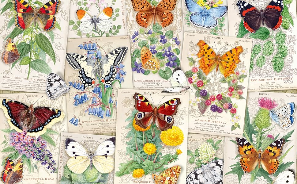 ヴィヴィッドスプレンダー cミラー パズル1000デビッドクリストファー