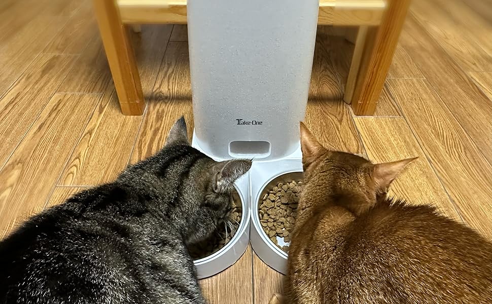 Amazon | Take-One(テイクワン) P2W 自動給餌器 2匹用 ペット給餌器 猫